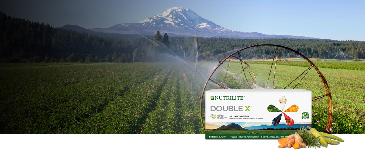 Double XT con fitonutrientes provenientes de plantas cultivadas en la Granja orgánica certificada en Trout Lake,Washington.